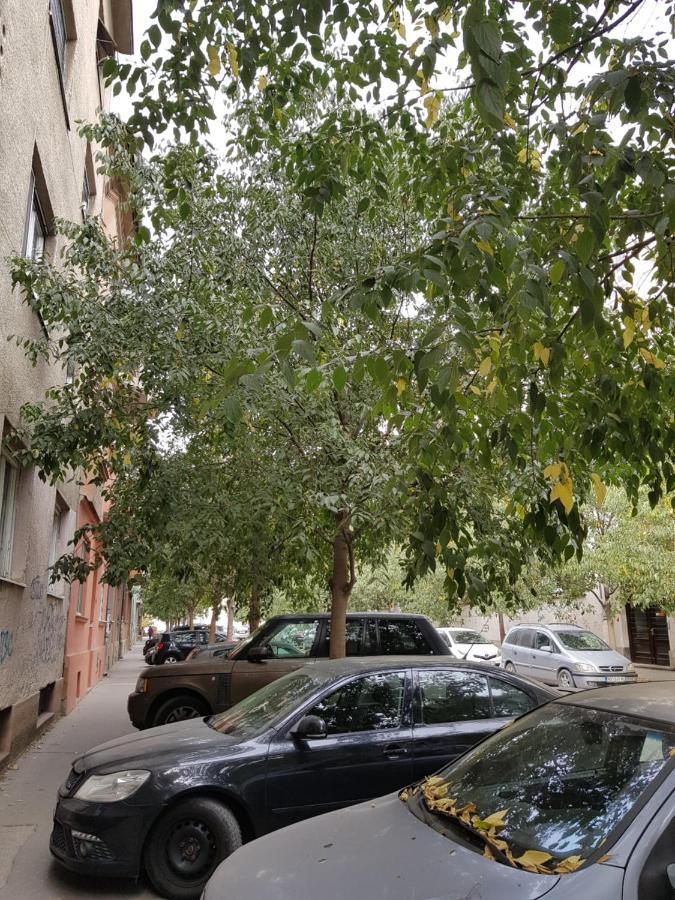 Mia Apartment Новий Сад Екстер'єр фото